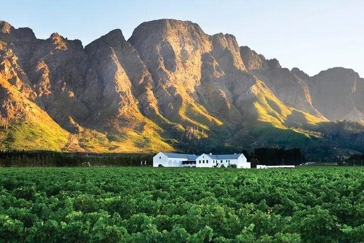 Franschhoek Wine Tram Hop-On Hop-Off Tour from Cape Town.