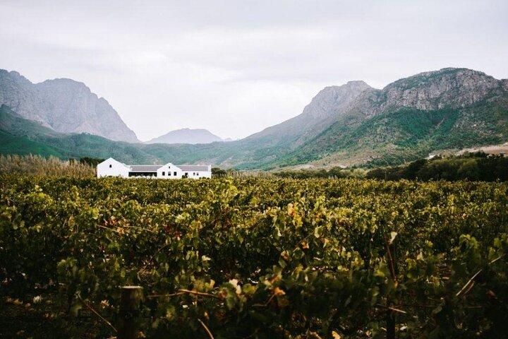 Franschhoek Wine Tram Hop-On Hop-Off Tour from Cape Town.