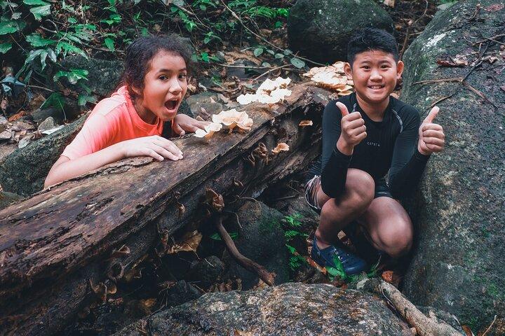 Secluded Waterfall Adventure