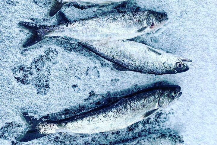 "Aurora Ice" - Ice Fishing & Salmon Dinner Tour
