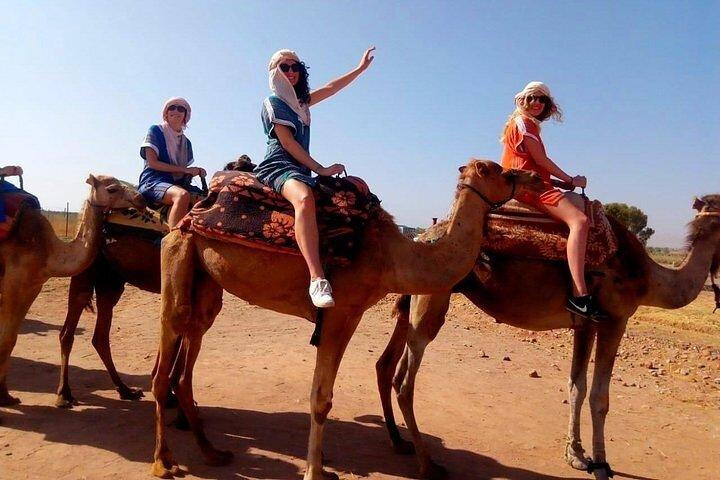 Agafay Desert Shared Tour from Marrakech with Camel & Dinner Show
