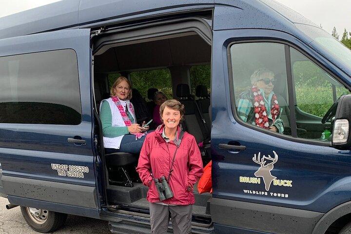 From Jackson: Full-day Grand Teton Wildlife and Scenery Tour with Lunch