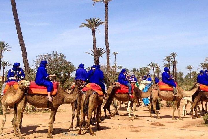 Marrakech : Camel Ride and Quad Bike in Palmeraie