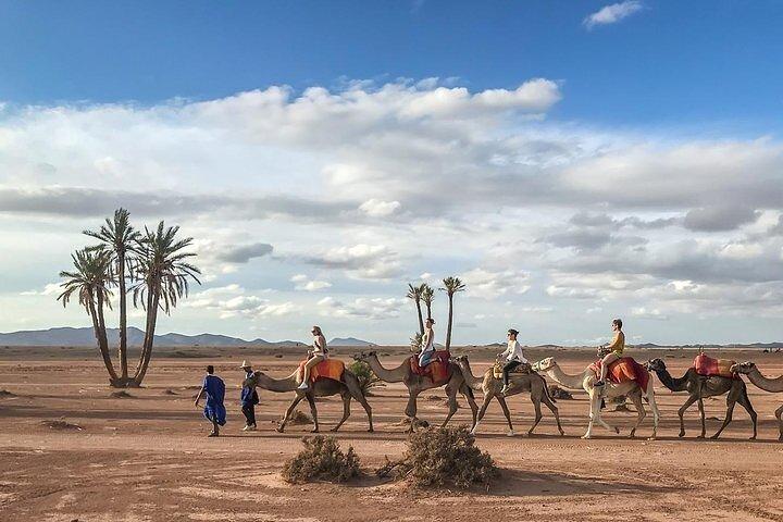 Marrakech : Camel Ride and Quad Bike in Palmeraie