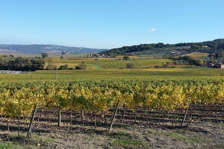 San Gimignano and Chianti tour