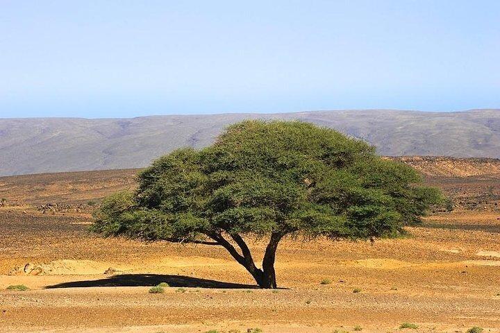 3 days Tour in Marrakech Chigaga Desert