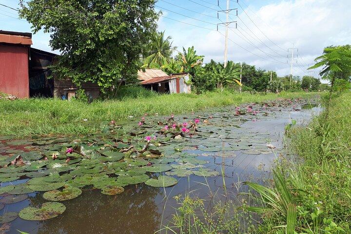 Tuk Tuk Journey: Exploring Rural Life and Silk Farm Craftsmanship