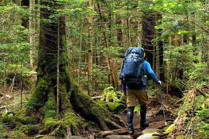 Fansipan Trek One Day Tour – Roof of Indochina