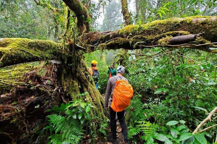 Mount Fansipan 2 Days Trek – Roof of Indochina