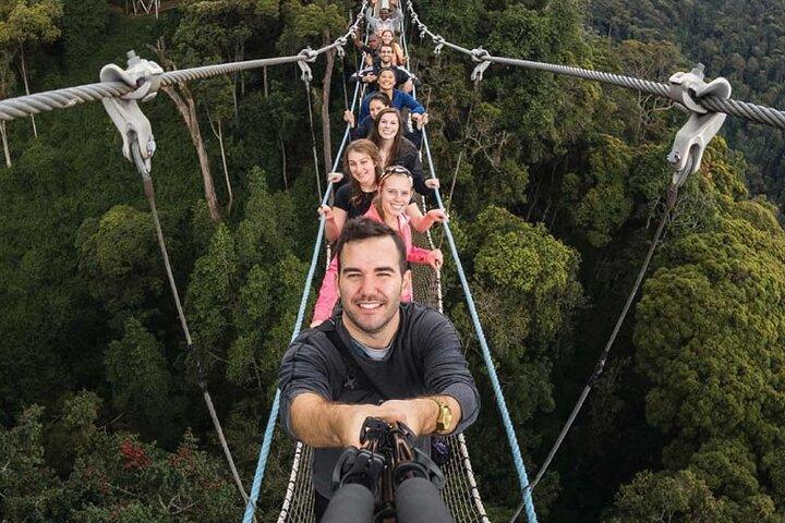 3 Days Nyungwe Chimpanzee trekk and Canopy way walk Rwanda Safari