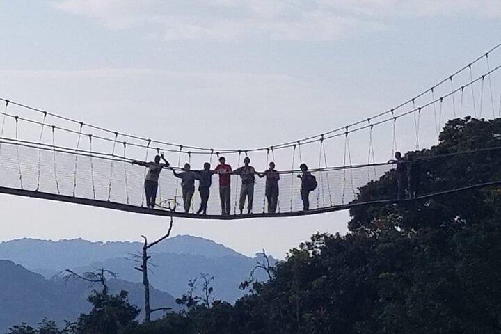 3 Days Nyungwe Chimpanzee trekk and Canopy way walk Rwanda Safari