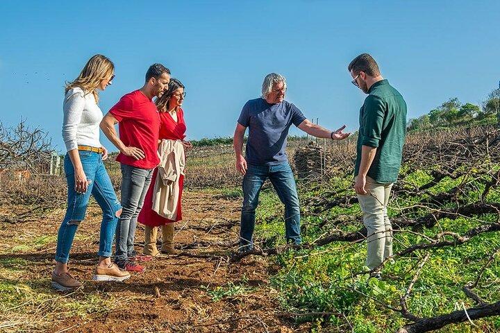 Tenerife Bodegas Monje Winery Tour with Wine and Cheese Tasting