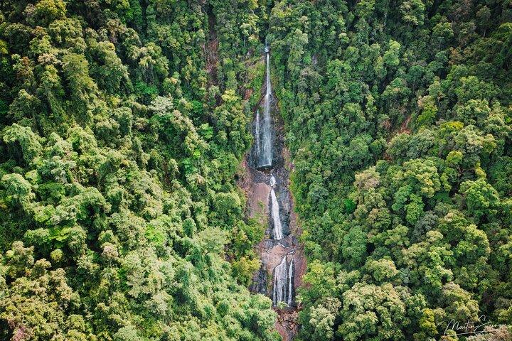 Beautiful Daintree Waterfall Walk, Magical Swim & Heavenly Lunch