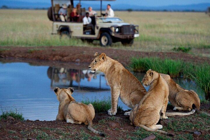 Full Day Safari From Durban to Hluhluwe-Imfolozi Game Reserve