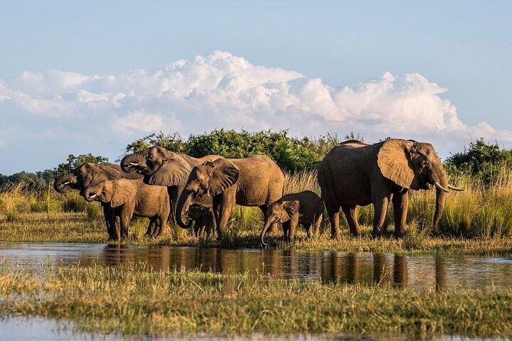 Full Day Safari From Durban to Hluhluwe-Imfolozi Game Reserve