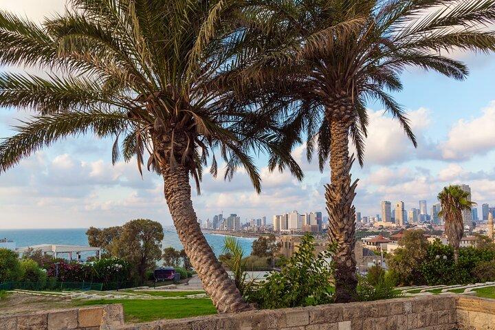 Jaffa Walking Tour - Half-Day