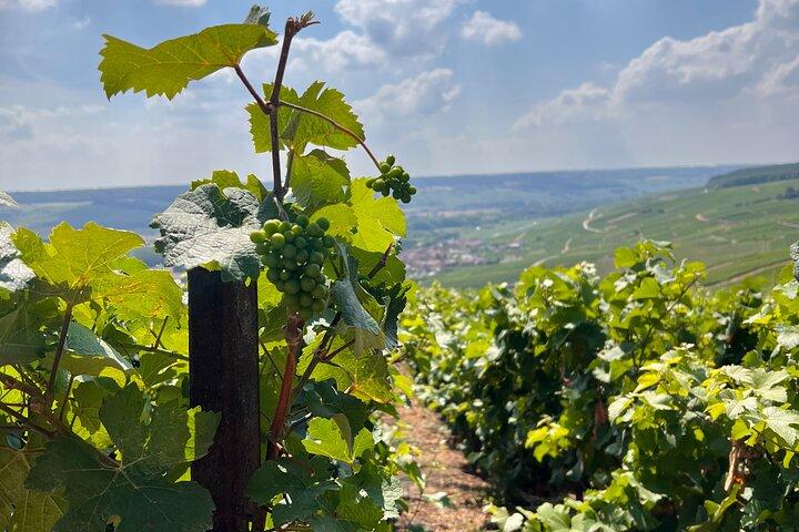 Day trip by van in Champagne small group of 8
