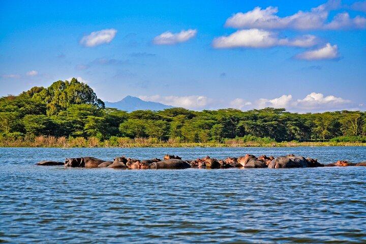 4-Day Masai Mara, L Naivasha and L Nakuru Safari