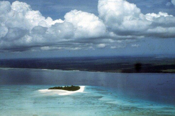 Mnemba Island Private Full Day Swim with Dolphins and Snorkeling