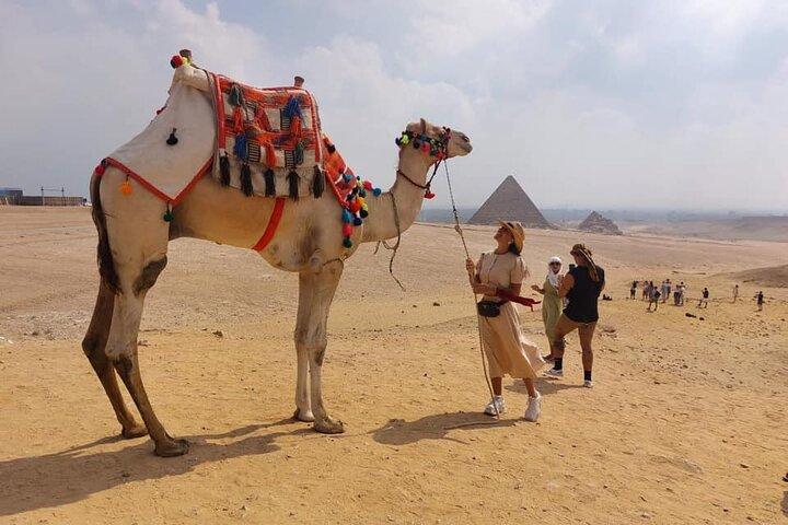 4 hour Private tour Giza pyramids ,sphinx and mummification temple tours