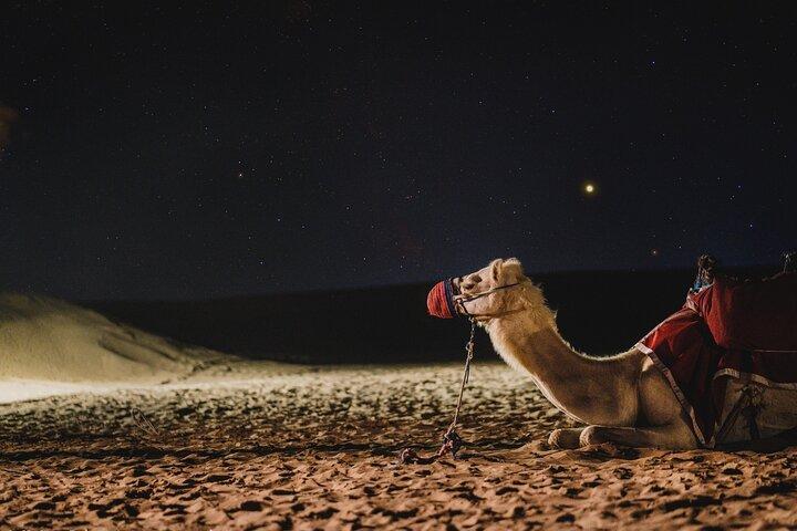 Doha : Night Desert Safari | Transit Safari | Camel ride | Dune Bashing