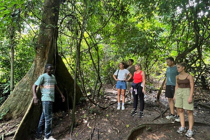 Cape Coast, Elmina, Kakum & Beach Day – Private Tour from Accra