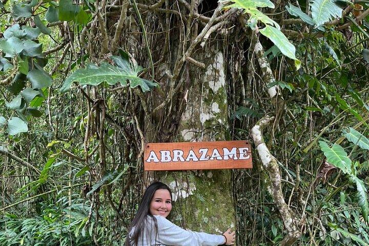 Pereira Organic Coffee Tour