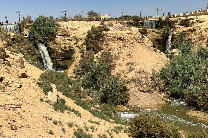 Fayoum Oasis Safari Day tour from Cairo by Car