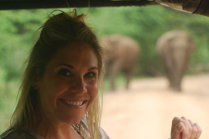 Udawalawe safari with Elephant transit home