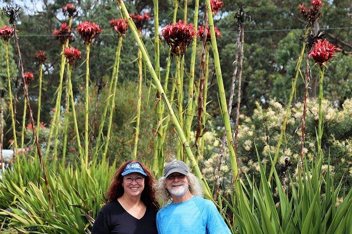 Sydney Northern Beaches Private Tour | Palm Beach & Ku-ring-gai
