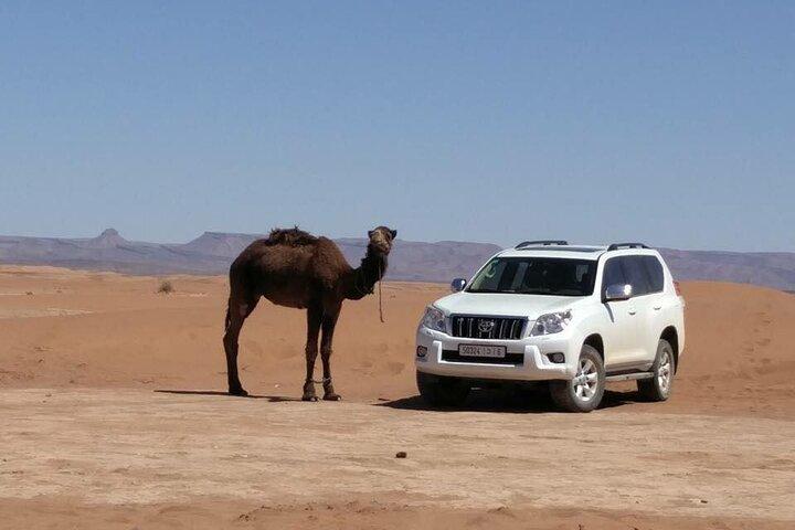 Morocco Vineyard Visit and Gourmet Tours