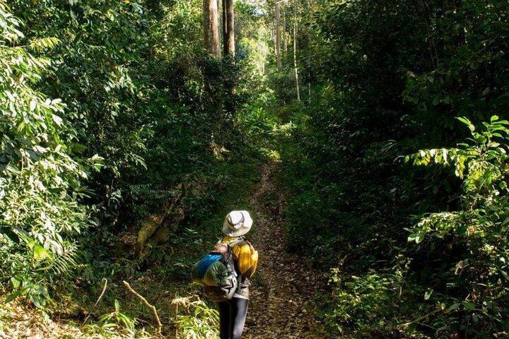 Fansipan Trek One Day Tour – Roof of Indochina