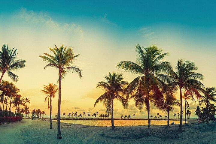 Miami: Open-top Bus Sightseeing Night Tour with Live Guide