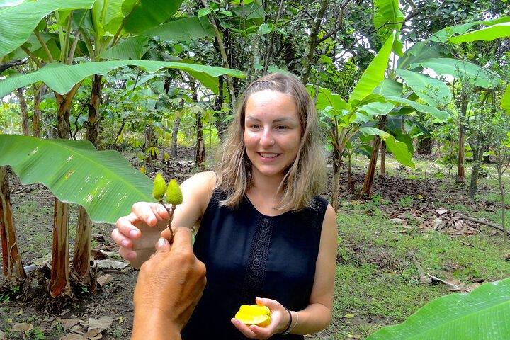 Half Day Guayaquil City and Cacao Farm Tour