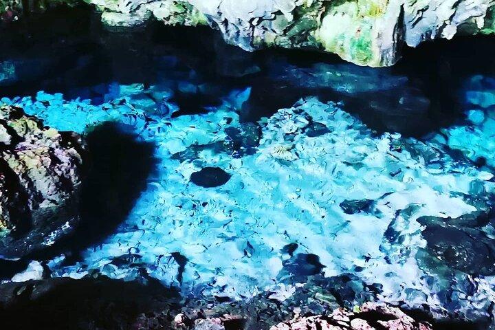 Jozani Forest, Kuza Cave Tour, Paje Beach, The Rock, Salaam Cave