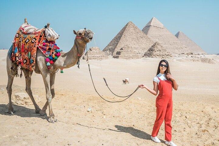 Cairo Layover- Giza Pyramids, Sphinx, Grand Museum with Lunch