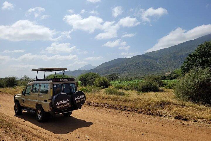 Wildlife Safari Tanzania