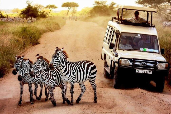 6-Day Tanzania Wildlife Safari