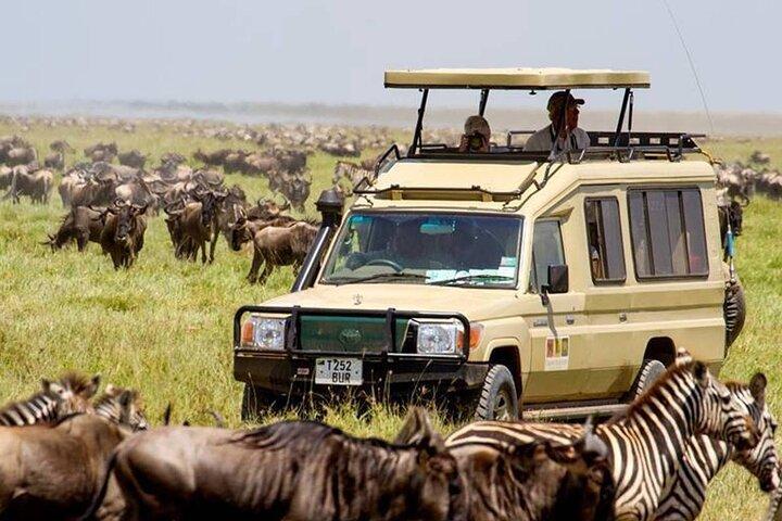 13 Days Best of Kenya and Tanzania Budget Safari