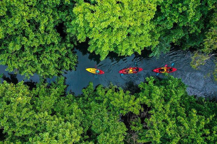Afternoon Guided Kayak Tour on the Tamarin River