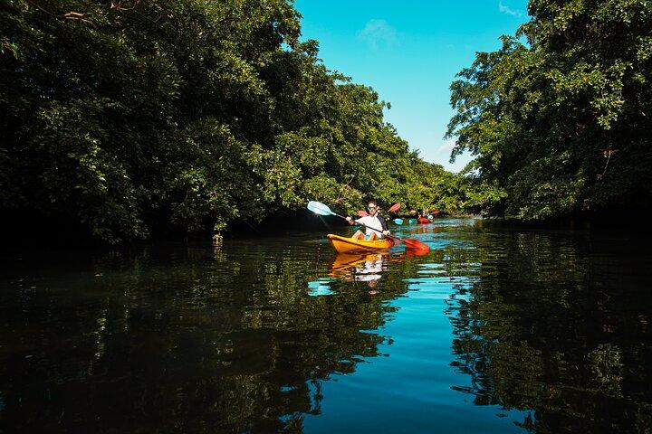 Afternoon Guided Kayak Tour on the Tamarin River