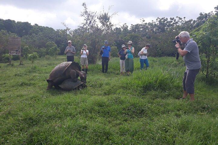 Transfer Airport-hotel in Galapagos Santa Cruz with visit to Giant Tortoises