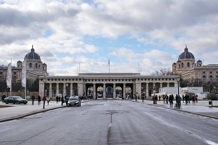 Private Guided Walking Tour of Vienna