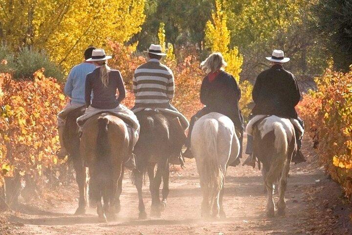 Horseback Riding in Mendoza through the vineyards and river with optional Asado.