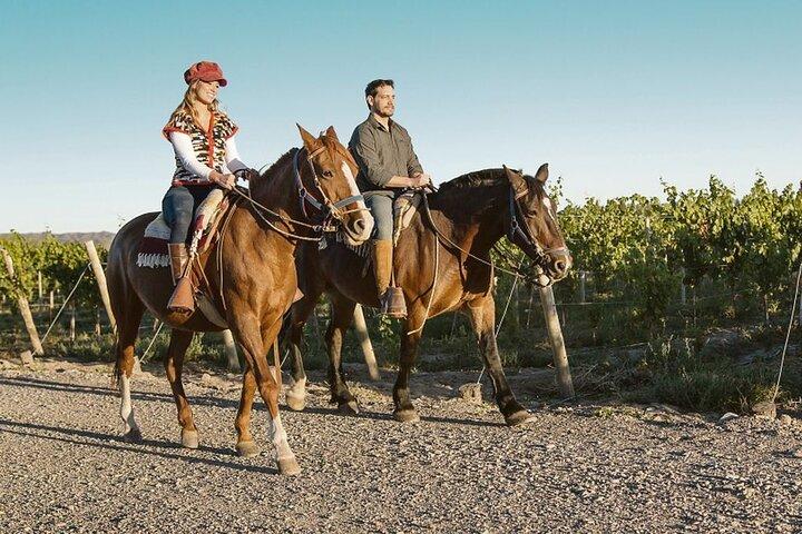Horseback Riding in Mendoza through the vineyards and river with optional Asado.