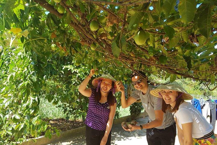 Coffee & Culture Experience _From Farm to Cup by Elon Farm