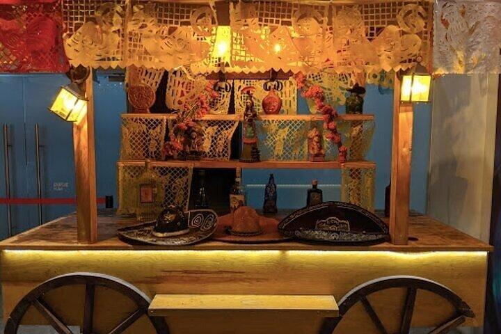 Guided Tour to the Tequila and Mezcal Museum