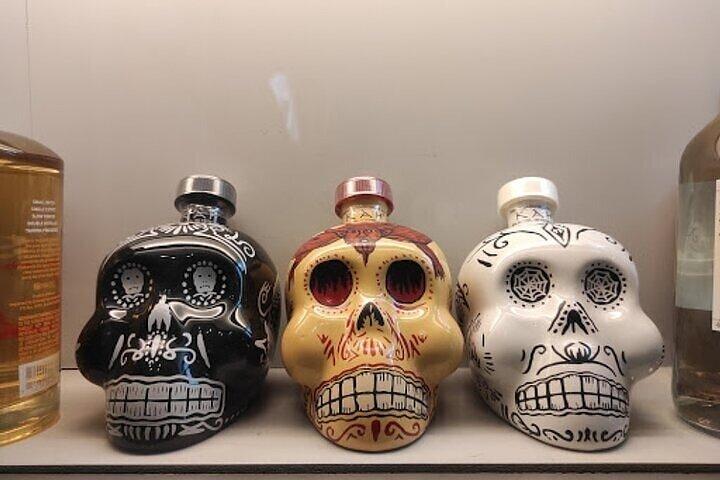 Guided Tour to the Tequila and Mezcal Museum