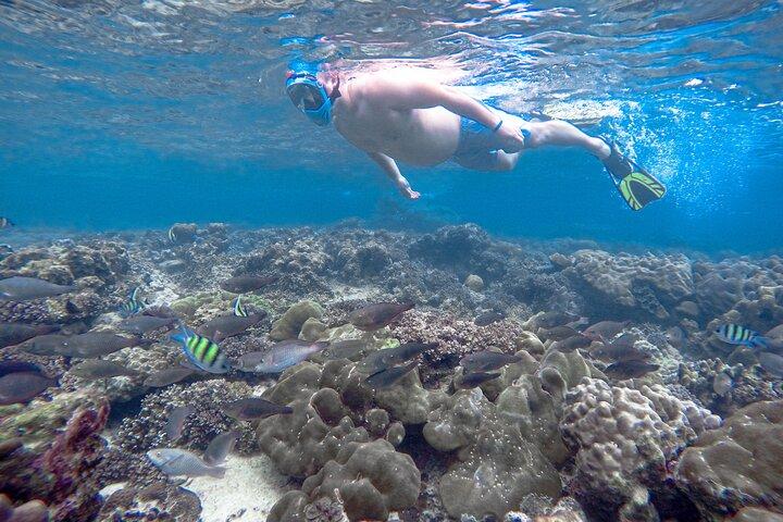 Phi Phi Islands Adventure Day Trip w/ Seaview Lunch by V. Marine