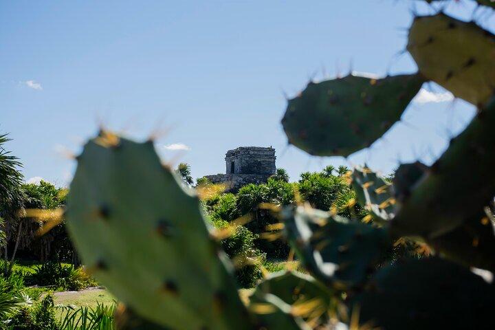 Tulum Ruins & Turtles Swim! Round with Cenote From Riviera Maya